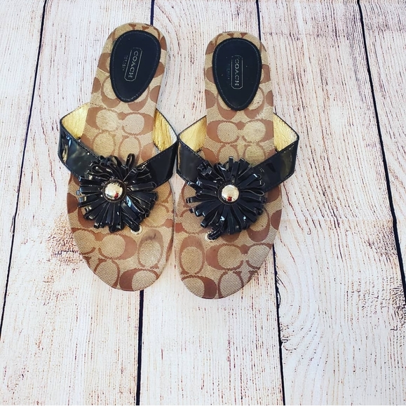 Coach Shoes - Coach Skye Brown and Khaki Flops